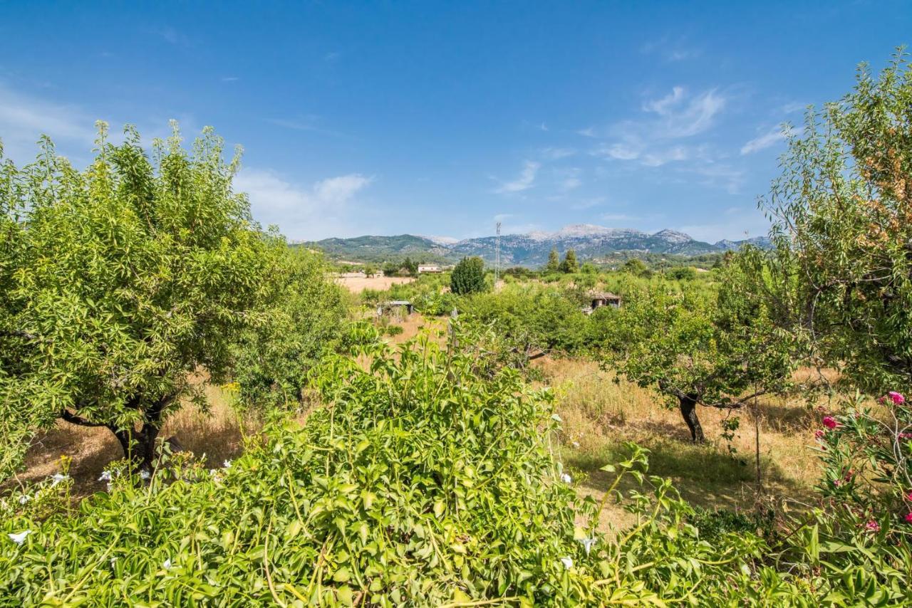 Ideal Property Mallorca - Can Reure Guest House อินคา ภายนอก รูปภาพ